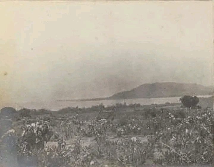 DHOLUO DICTIONARY , PhD tweet media