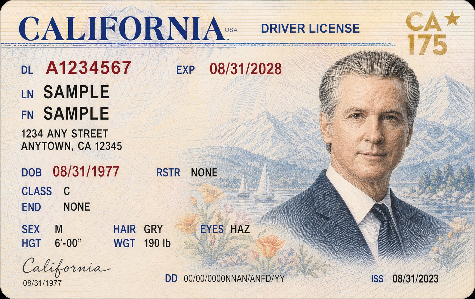 Governor Newsom Press Office (@GovPressOffice) on X