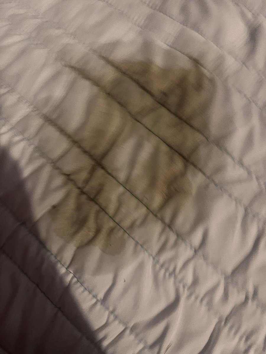 @ 𝐊𝗂𝖾𝗇 ！ tweet media