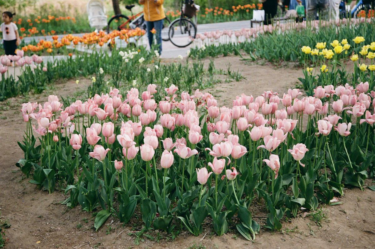 정라방🎴👹 tweet media