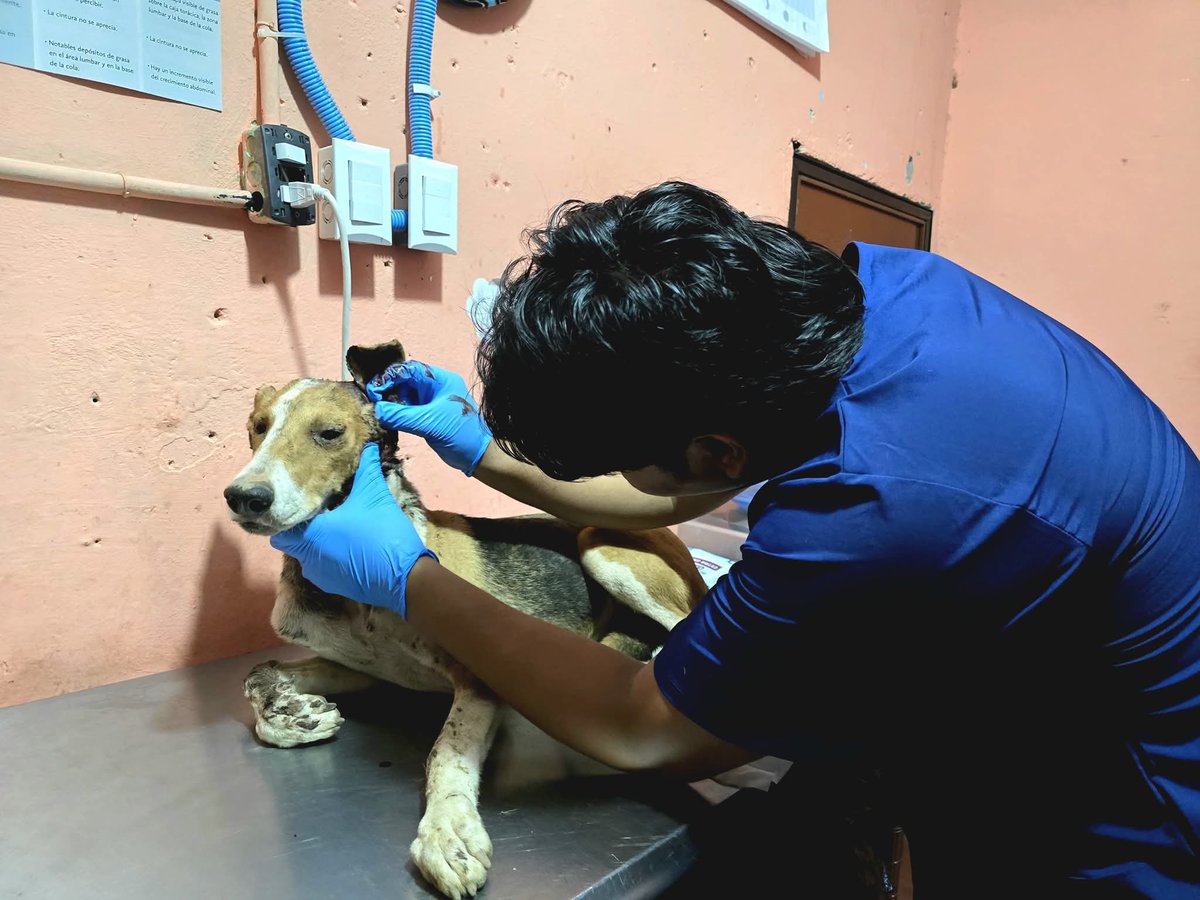 Sivar News tweet media