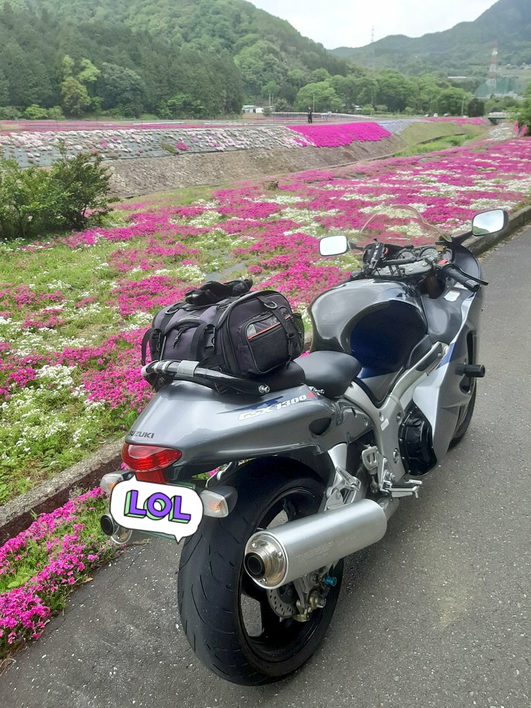Tw_inaroid's tweet photo. #横津海の芝桜🏍️💨 https://t.co/tZN1c7G1Xx