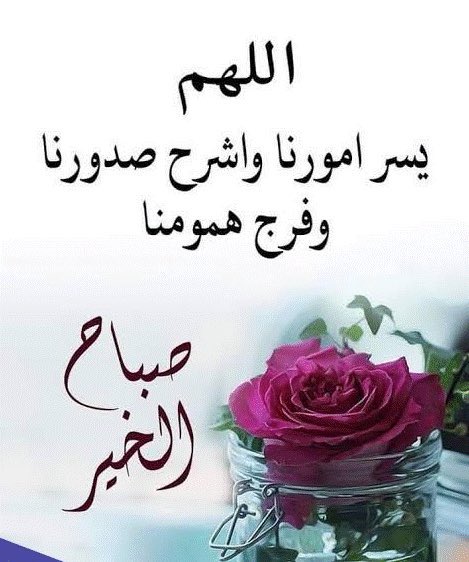 حي العقيق(شمال الرياض) tweet media