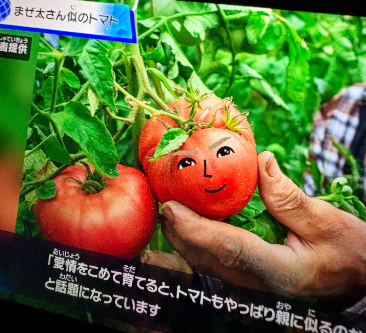 ･ω･ tweet media