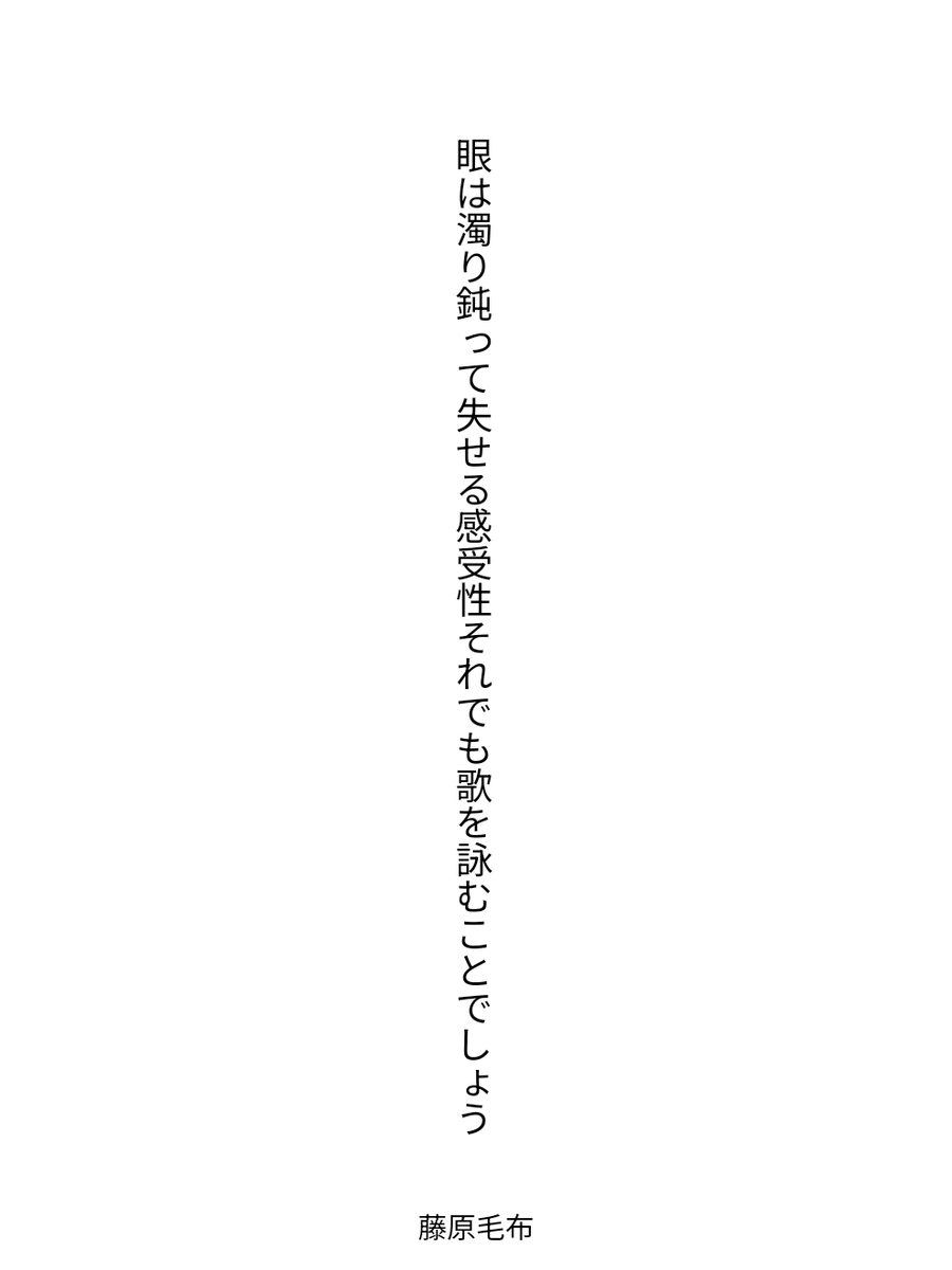 藤原毛布 tweet media