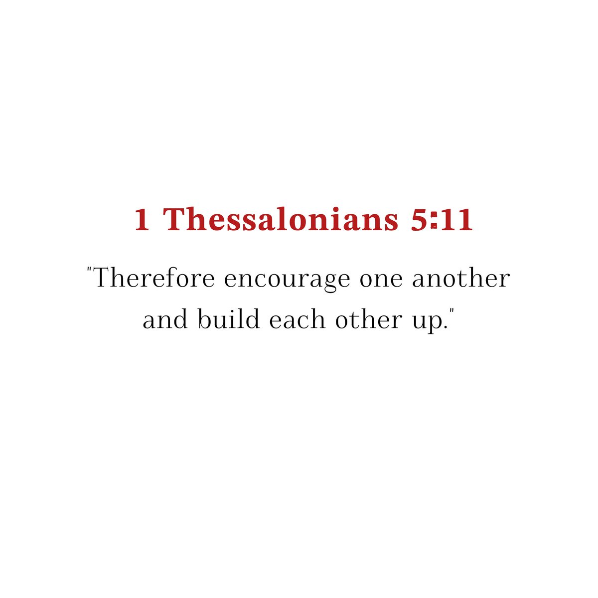 Holy Bible tweet media