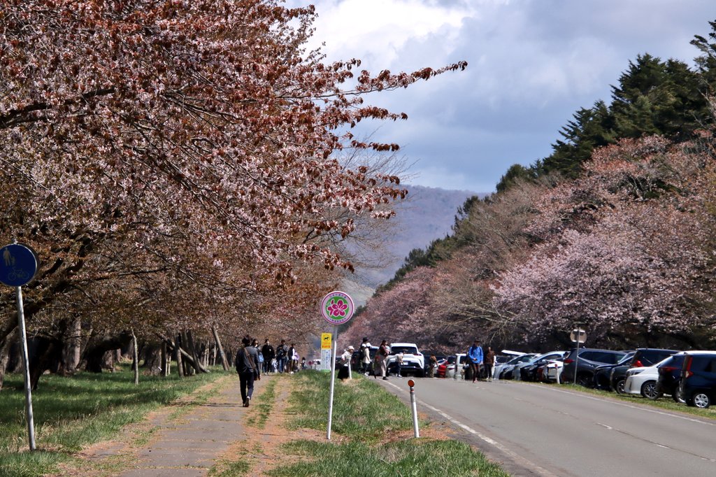 ☀️hiro@A☀️ tweet media