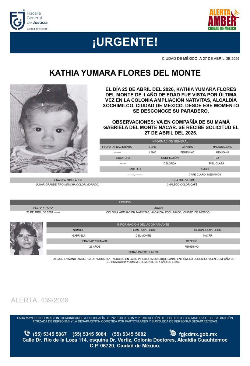 Tx Dn Gato Y Su Pandilla tweet media