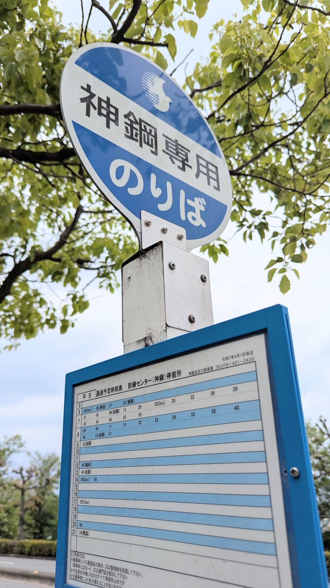 土日旅人 tweet media