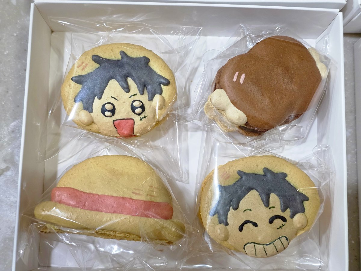 2026 루피른 부산 성인교류회 tweet media