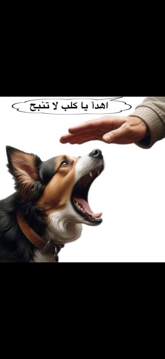 قل الحق أو أصمت tweet media