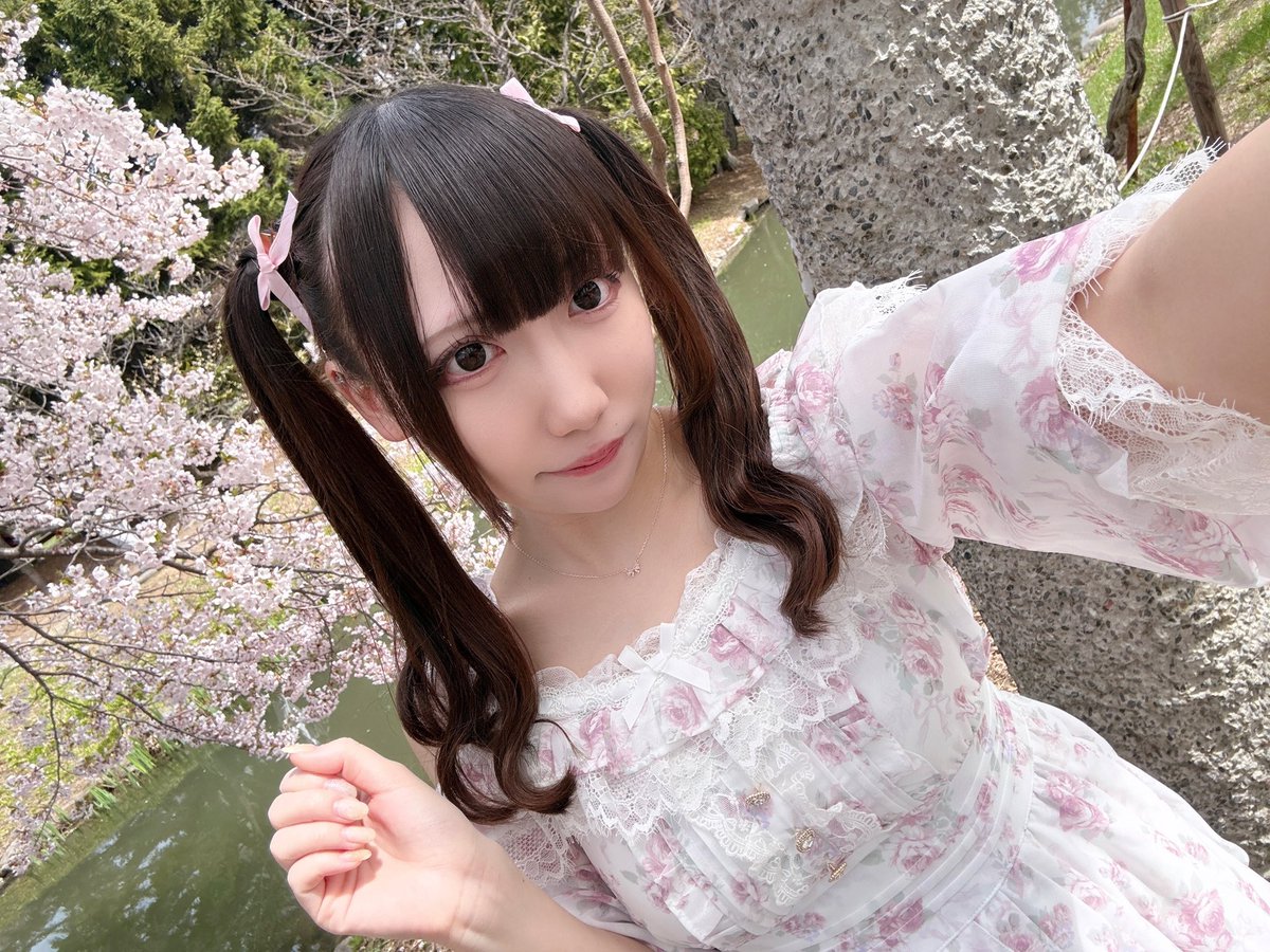 ❤️ 煌愛ろあ 🎀❗️ tweet media