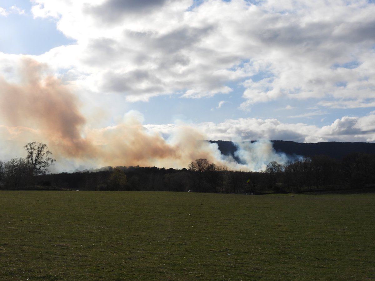 bscgscotland's tweet image. Indeed
(This #April #wildfire  &amp;amp; #muirburn problems evident  in the #Cairngorms area  too)