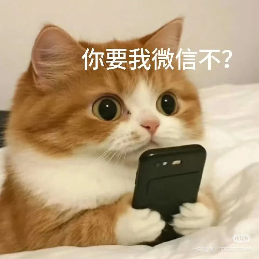 HuA zAi。 tweet media