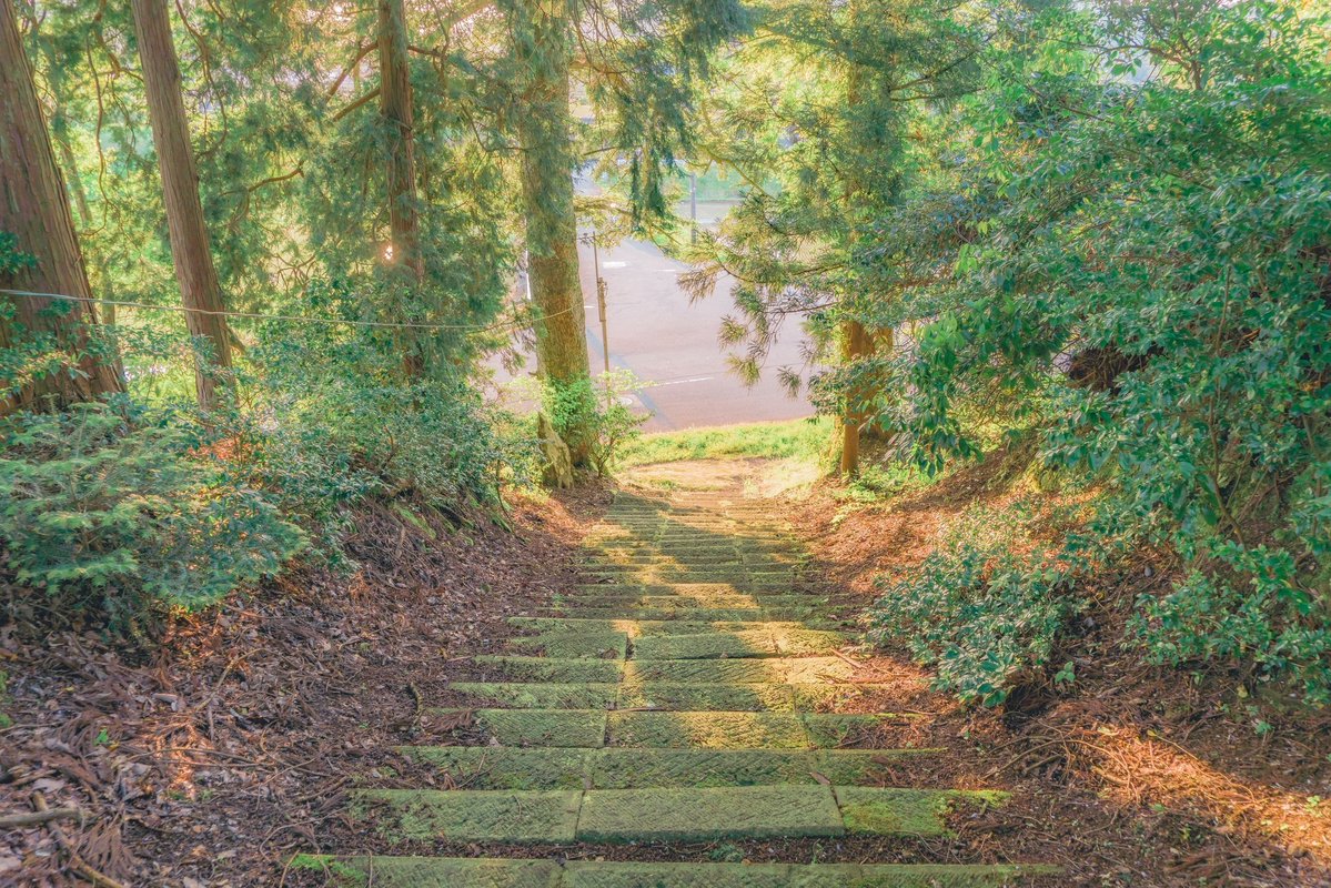 Akine Coco tweet media