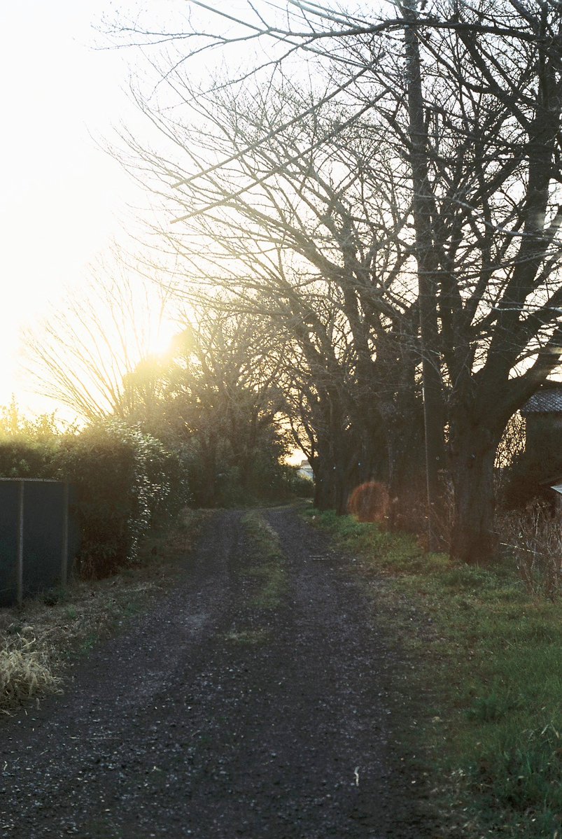 bkoubou1's tweet image. 裏道
#フィルム
#film
EXAKTA VXⅡb
Macro-Quinon 55mmf1.9
FUJICOLOR 100