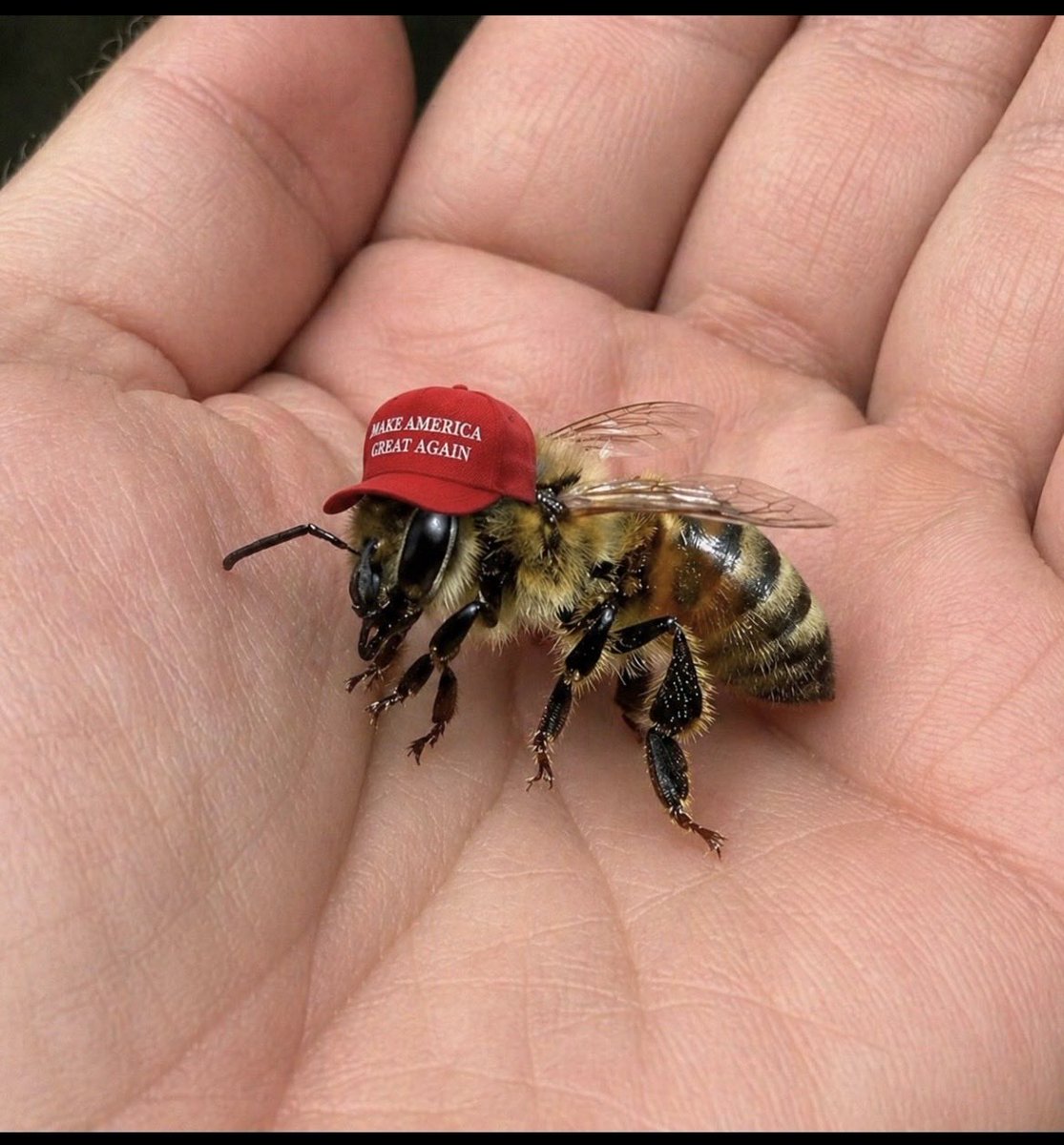 tescott854.x tweet media