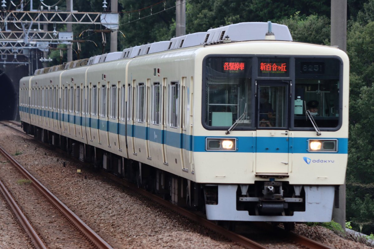 園 公 林 森 tweet media