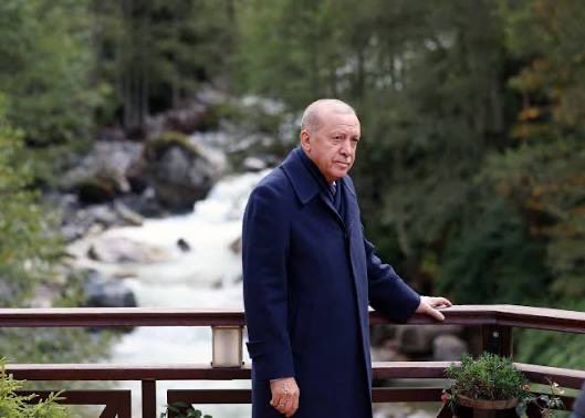 Bel Haber tweet media