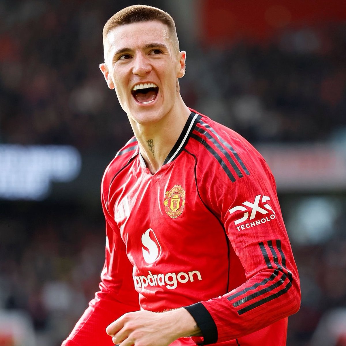DailyAFC tweet media