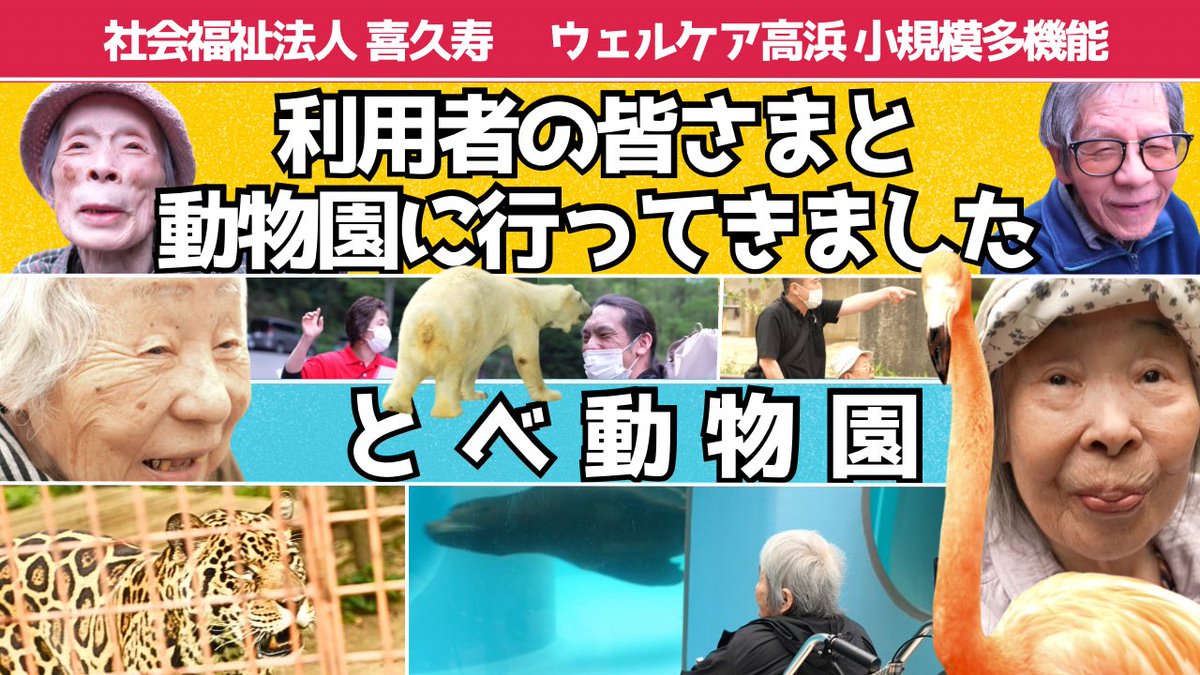 白石ひでのり音楽家 tweet media