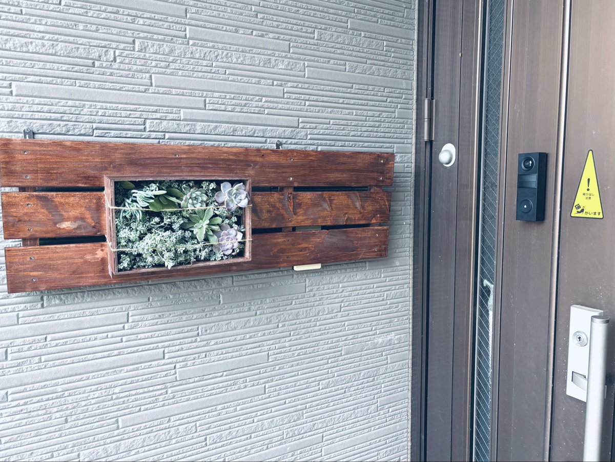 hikari_seeder's tweet image. 玄関多肉壁掛け
完成しました🙌

#ガーデニング #多肉
#壁掛け #DIY #すのこ