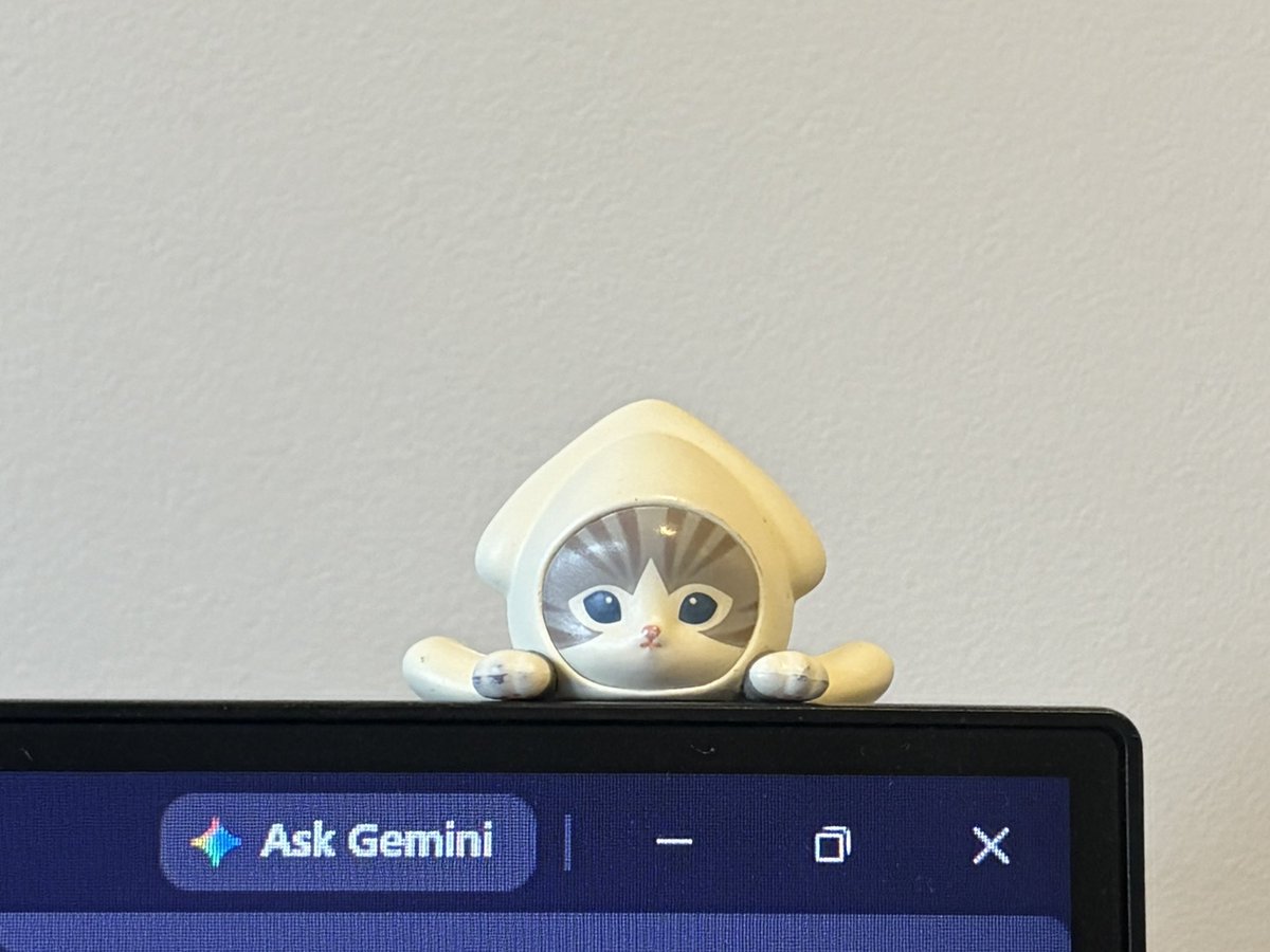 feli ૮ ˶ᵔ ᵕ ᵔ˶ ა tweet media