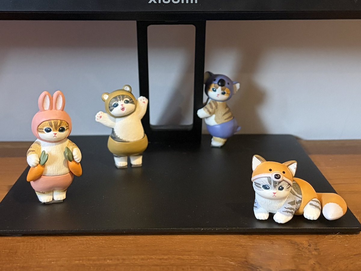 feli ૮ ˶ᵔ ᵕ ᵔ˶ ა tweet media