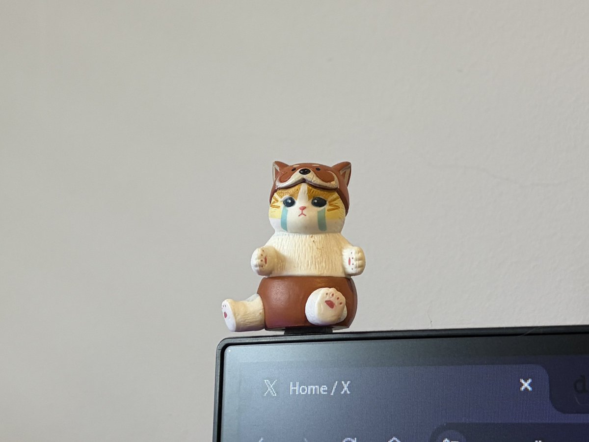 feli ૮ ˶ᵔ ᵕ ᵔ˶ ა tweet media