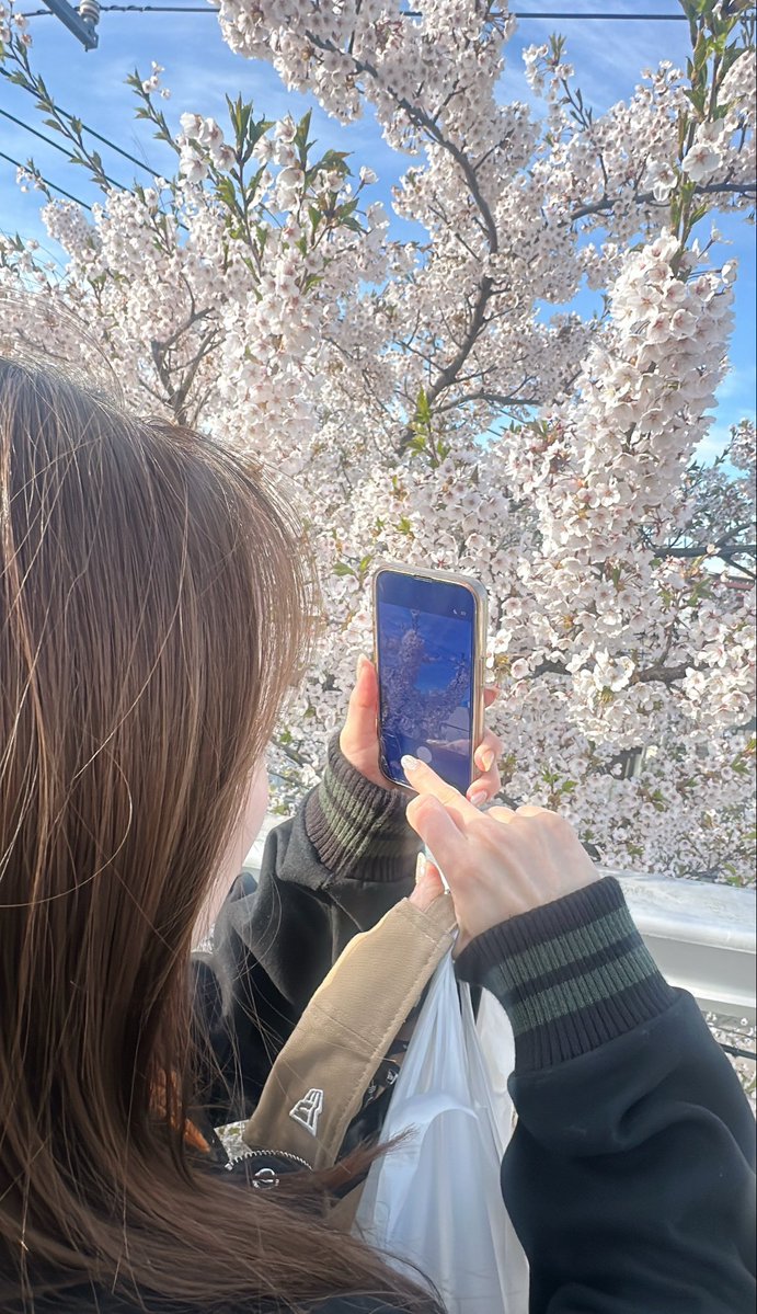 ムクエナガ🕊大富豪を目指すトリ✨ゴルナス🐣量子原子20年✊時々米国株&ビットコイン🚀 tweet media