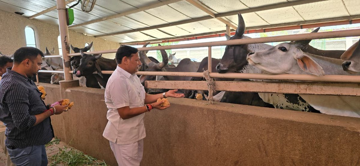 आज श्री नाकोड़ा महातीर्थ (मेवानगर, बालोतरा) में भगवान पार्श्वनाथ प्रभु के श्री चरणों में अत्यंत श्रद्धा, आस्था और भक्ति भाव के साथ पूजा-अर्चना करने का सौभाग्य प्राप्त हुआ।

 साथ ही बाबा भैरव (श्री नाकोड़ा भैरव जी महाराज) की पूजा-अर्चना कर उनका दिव्य आशीर्वाद प्राप्त किया, जिससे