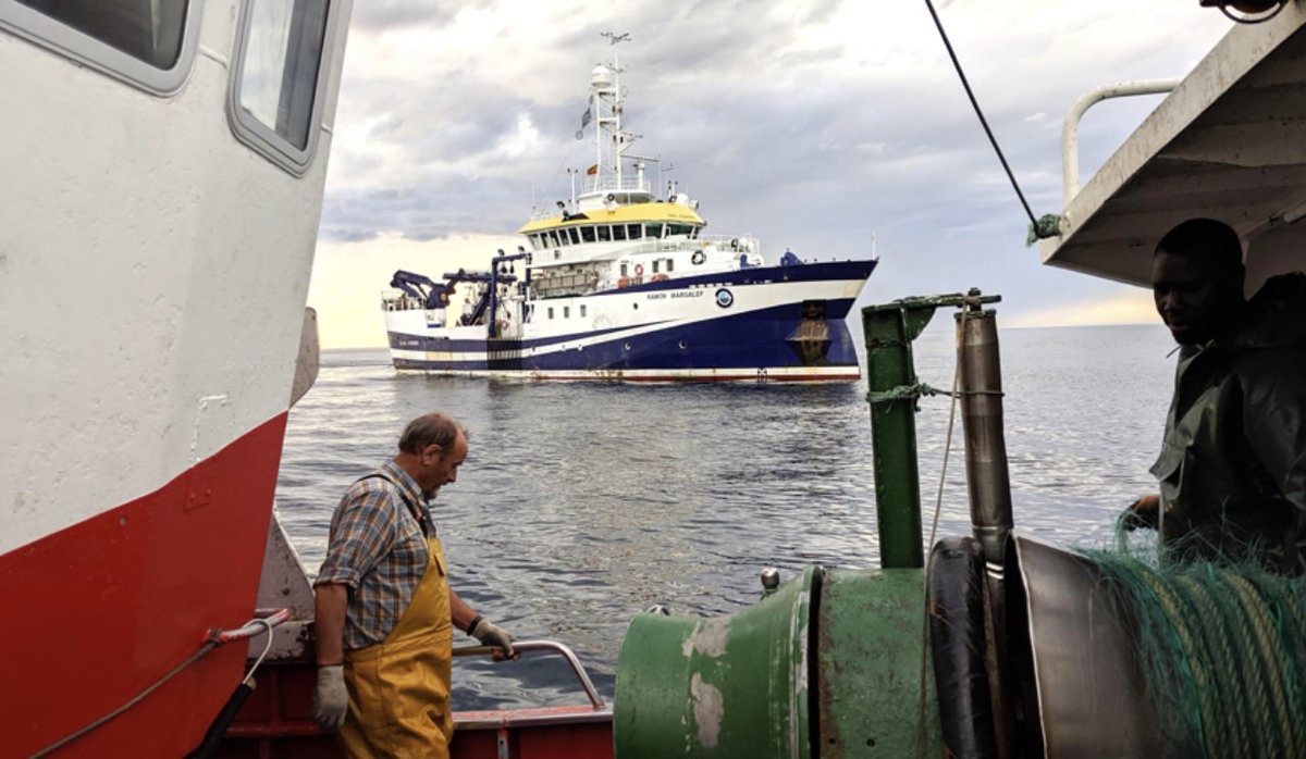 RutaPesquera's tweet image. rutapesquera.com/ieo-constata-q…
IEO constata que palangre de fondo es el más perjudicado por cierres pesqueros.

#IEO