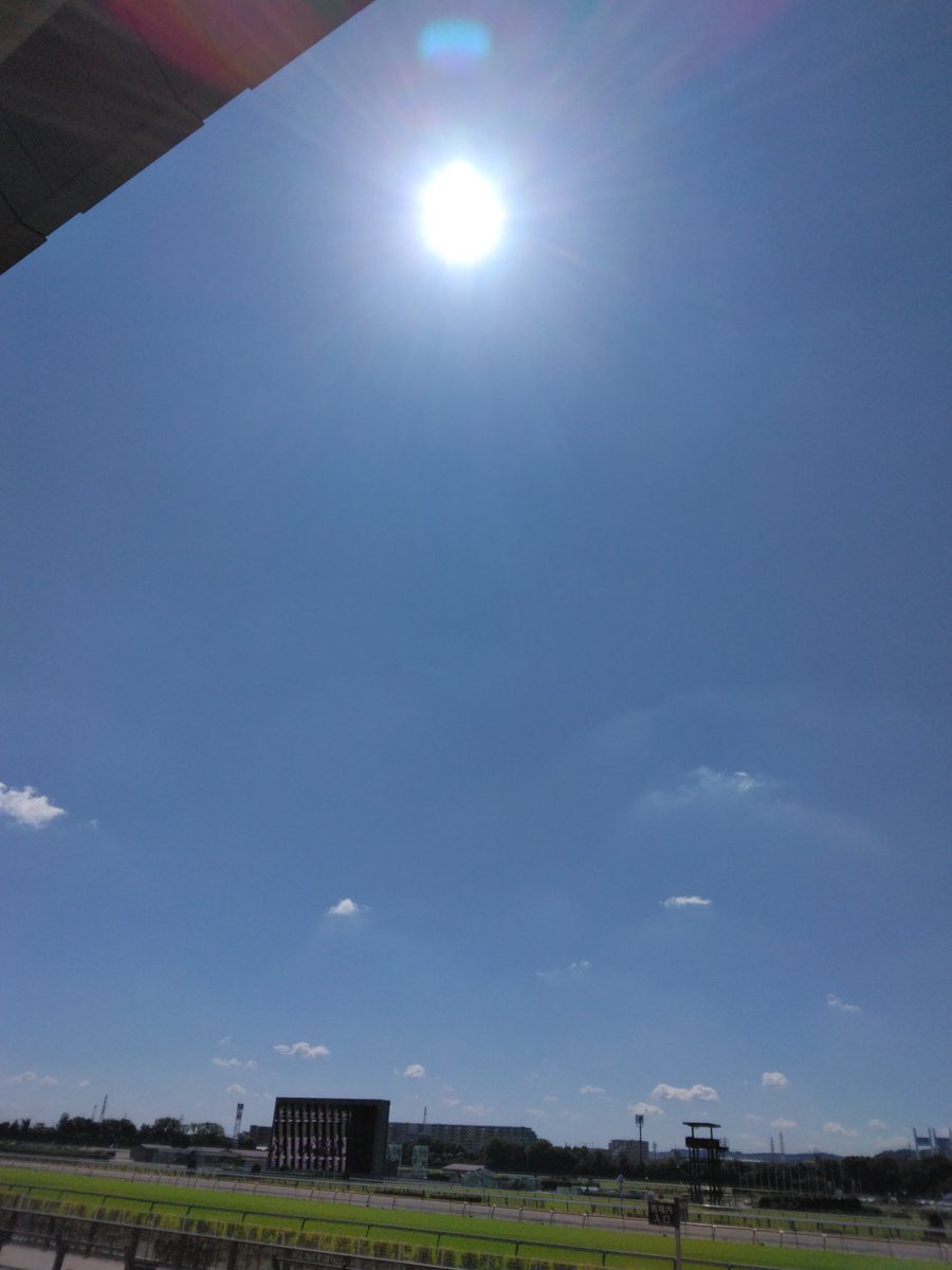 小島 tweet media