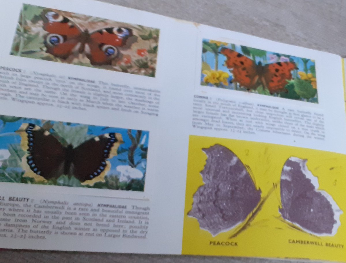 greenbeltsal's tweet photo. Getting a tad fed up with #FootballCoverage on #BBCNews
#BBCLocalRadio
As for sticker books ...
My favourite kind were the #NaturalHistory 
#Wildlife kind.
#BrookeBondPictureCards https://t.co/uxJ9GDpBKk