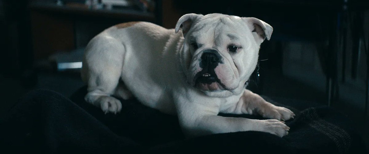 Vought Crave tweet media