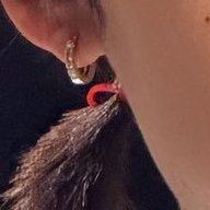 ‎.˚˖Ი𐑼⋆.˚ ม๋ามี๊พอทอ.𖥔˚ 𐔌 tweet media