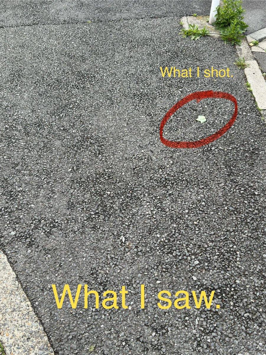eyeCUjp's tweet image. .
What I saw and what I shot.

#織田フォト
#織田ランドスケープフォト
#iPhonePhotography

　流行ってる(？)っぽいのでやってみたくて当日見たままの状況を撮っていたのを思い出してポスト。なので葉っぱの写真は再投稿です。

・iPhone17ProMax
・標準カメラアプリ
