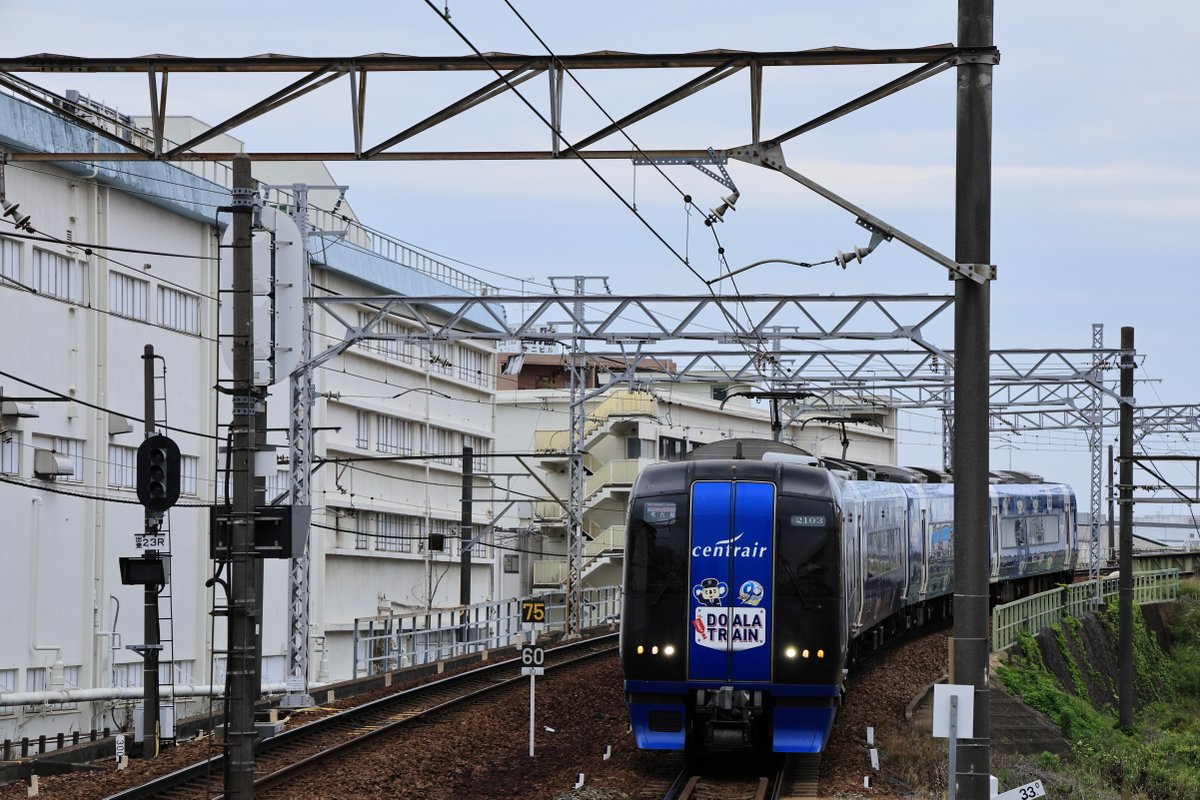 ryuukan96's tweet photo. #ファインダー越しの私の世界
#名古屋鉄道
#名鉄34列車
#名鉄31列車
#2003F
#ドアラトレイン
#名鉄2000系 https://t.co/Y9GoaYCt9G