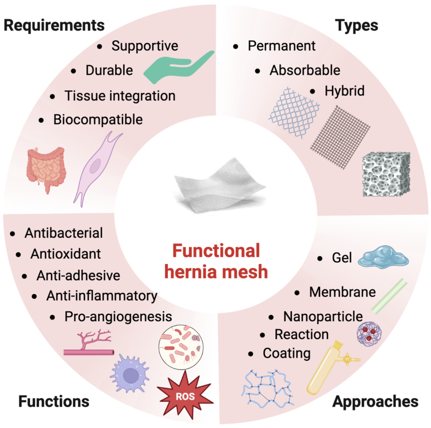 IJMD_MDPI's tweet photo. 📢Good news: the first article of #IJMD has been published online!

📌Advances in Multifunctional #Hernia Repair Mesh to Minimize Post-Surgical Complications
🔗Read now: https://t.co/6fFSjb87i2

We warmly invite you to follow and join us as readers, authors, and editors. https://t.co/GSaI8njJnj
