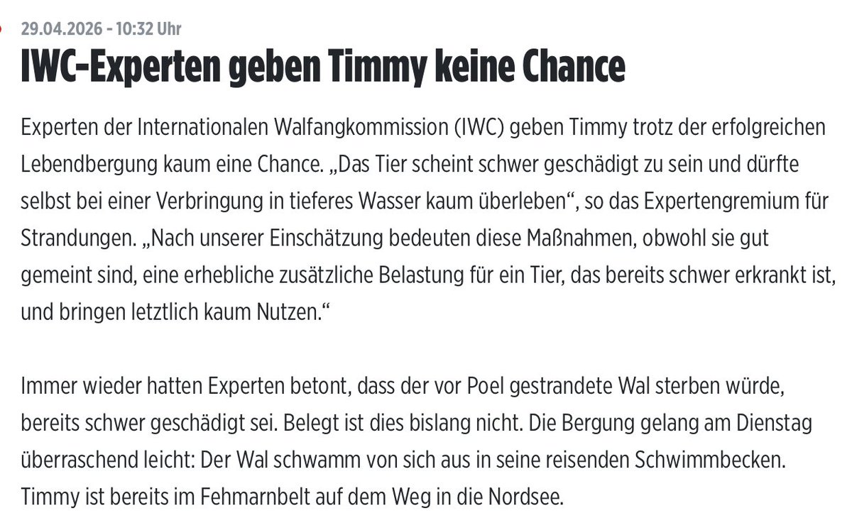 𝑀𝒾𝓈𝓈 𝐸𝓋𝑒 tweet media