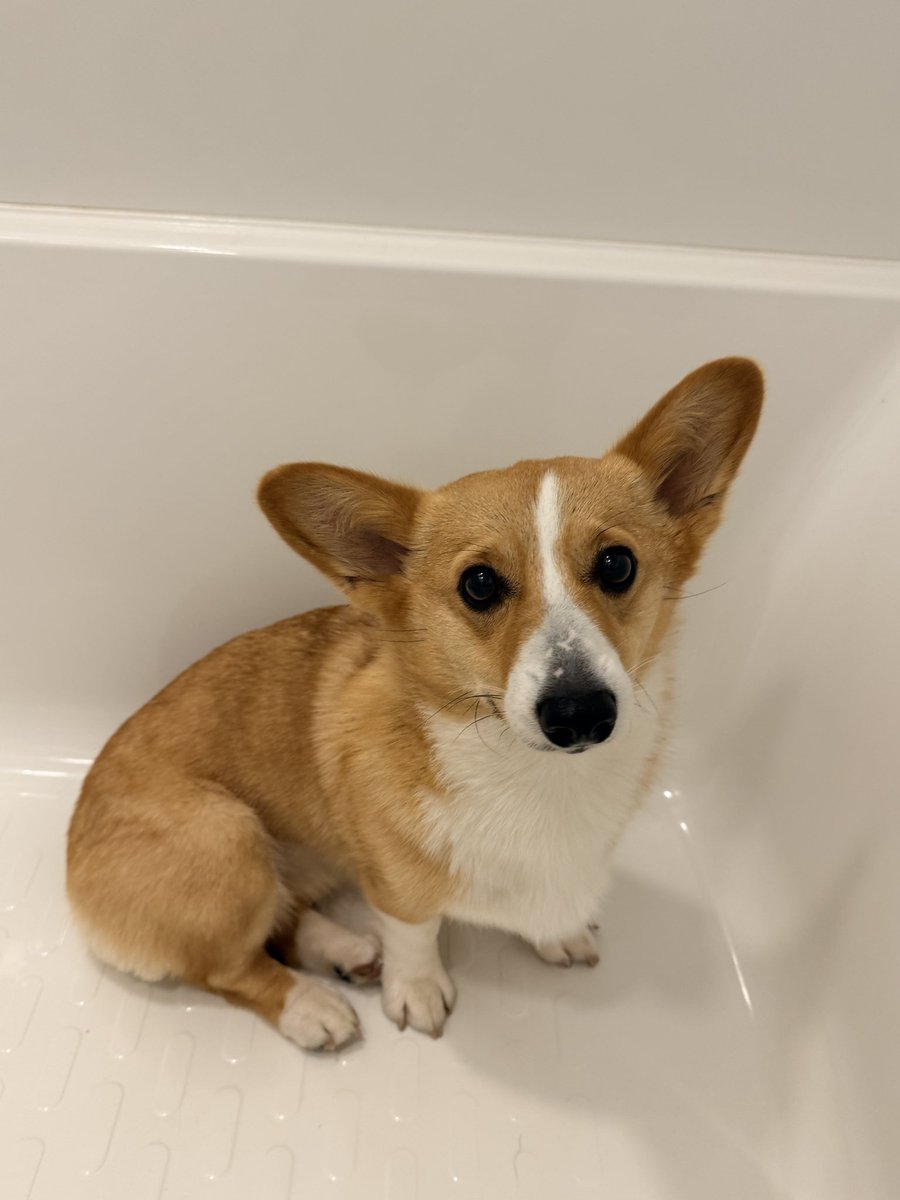 TIE_PRiZE😤 tweet media