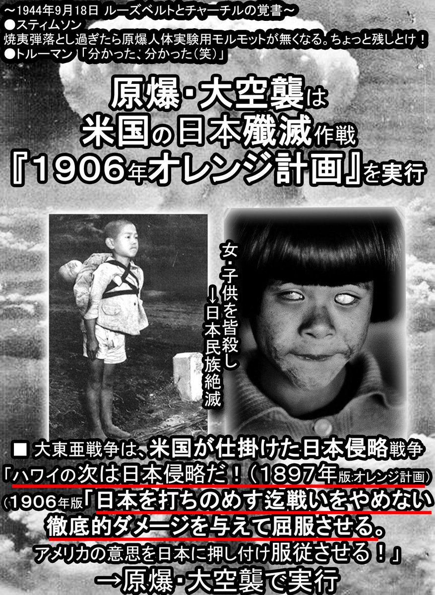 さくら子 5.0 tweet media