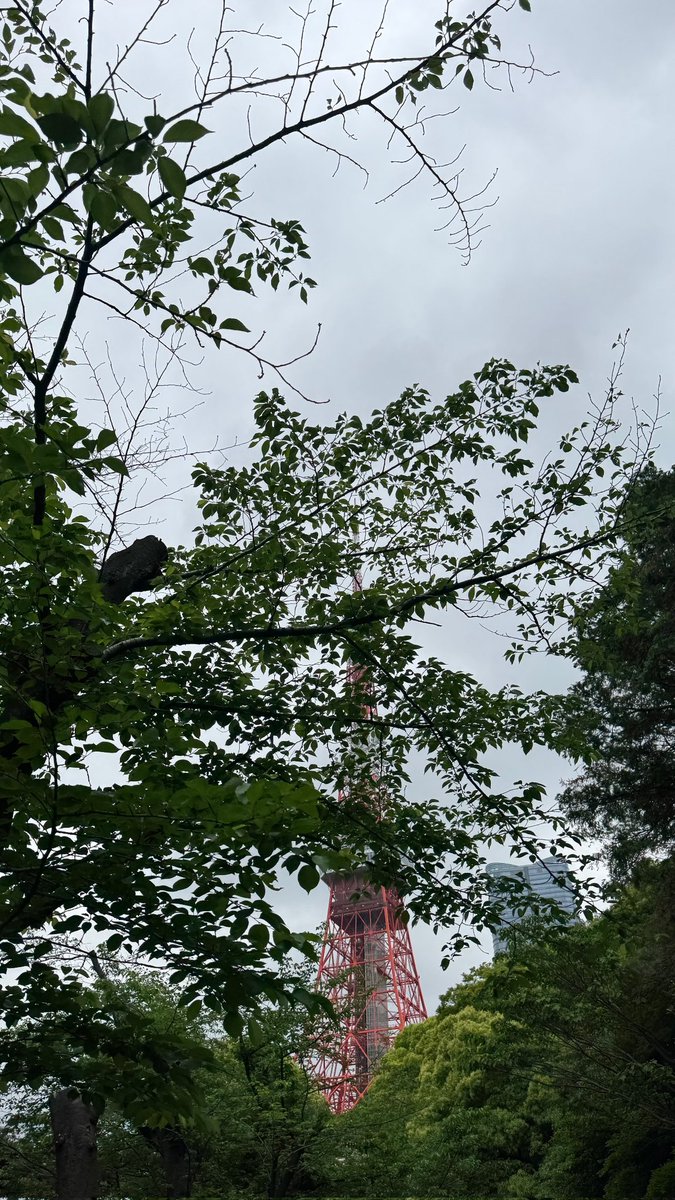 elsedarsiv's tweet image. #elsed