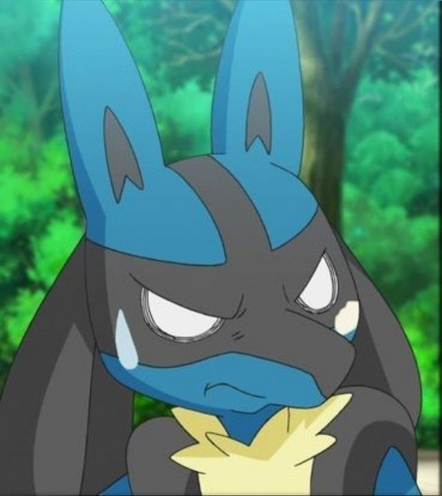 Pokémon Posts tweet media