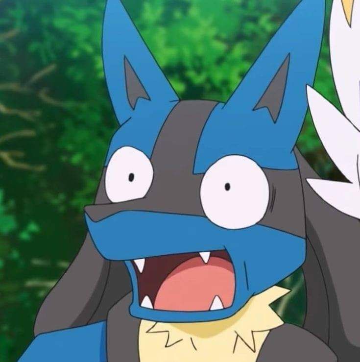 Pokémon Posts tweet media