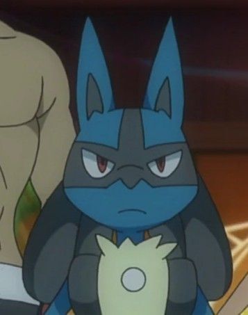 Pokémon Posts tweet media