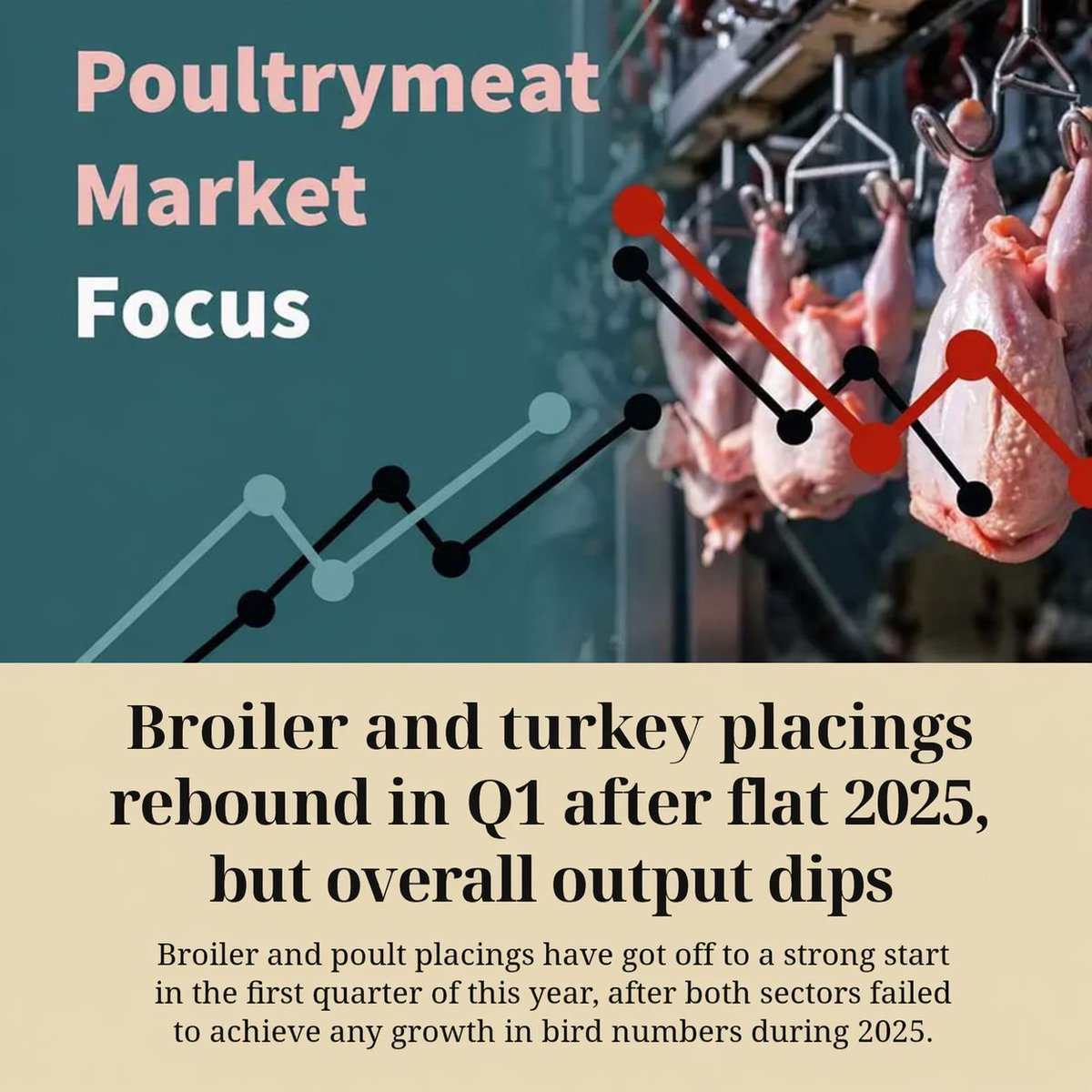 Poultry_Network's tweet photo. Broiler and turkey placings have picked up in Q1 after a flat 2025, with broiler numbers up 1.6% year-on-year to 291 million.
Read more: https://t.co/OniBeUauy5
#PoultrySector #Broilers #TurkeyProduction #MarketData https://t.co/jqB28Cea8H