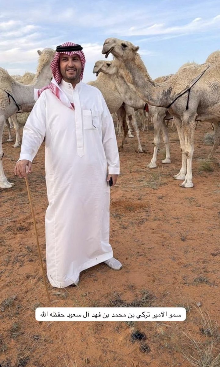 آل سعود والإبل 🇸🇦🐪. tweet media