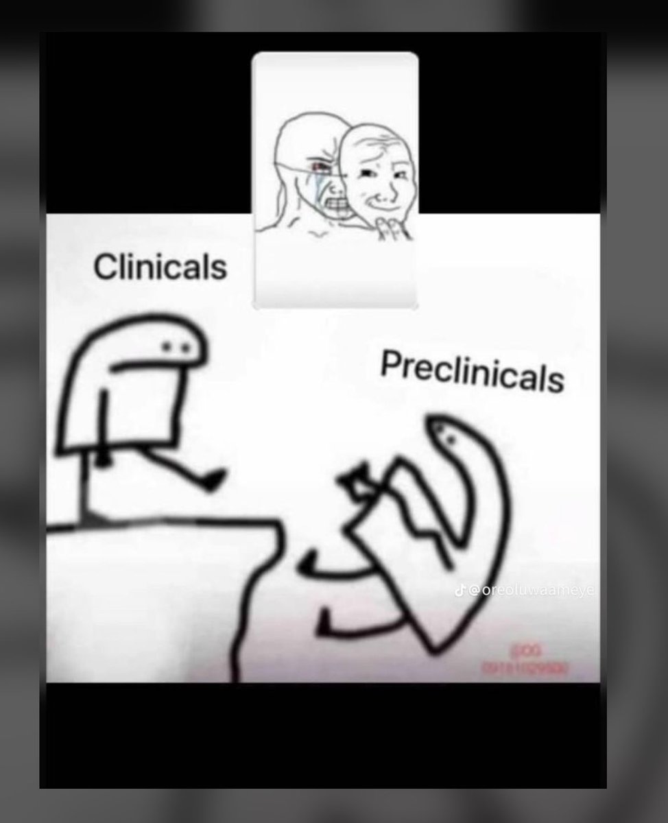 Amos_Kito🦾🔝 tweet media