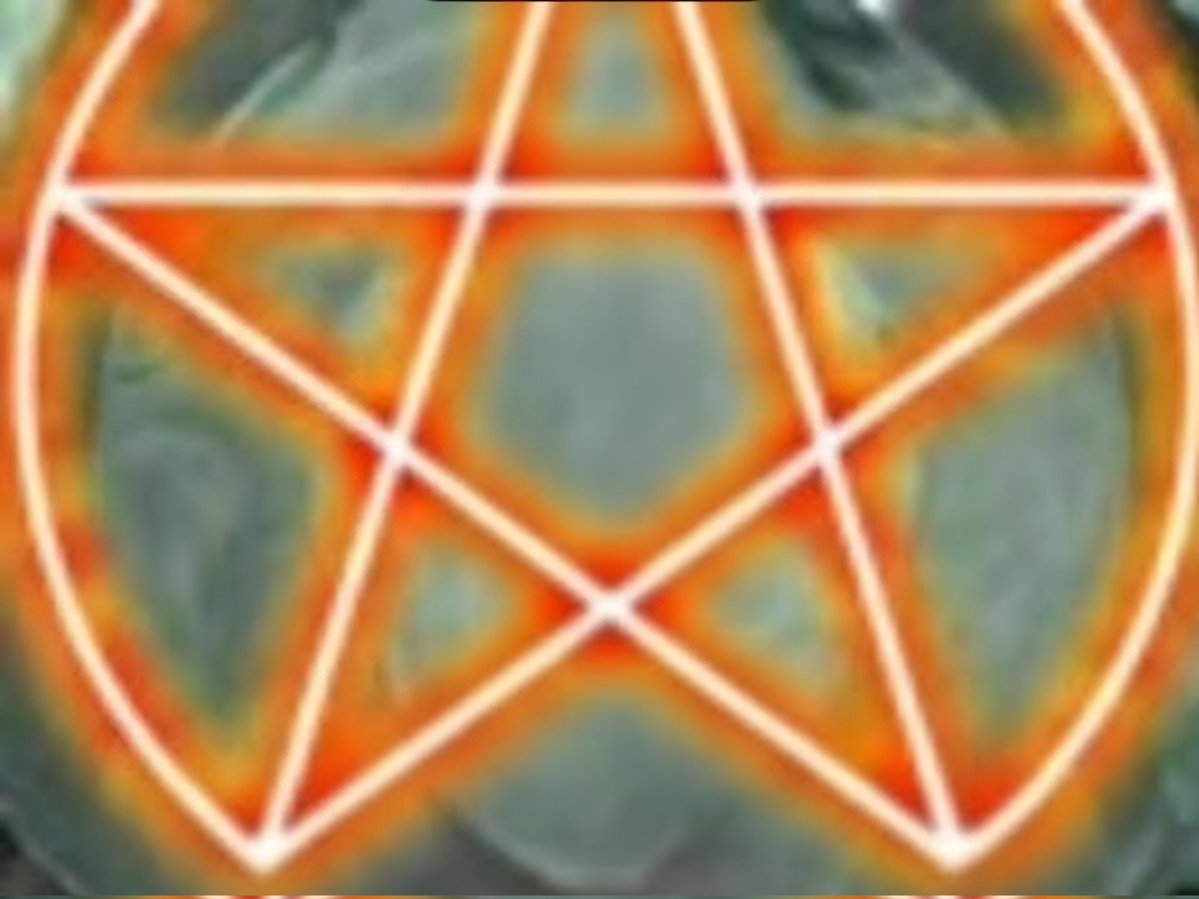 カエル tweet media